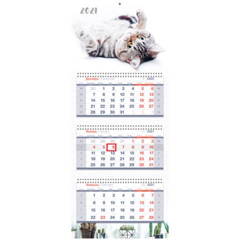 Календарь настенный квартальный OfficeSpace Premium, 2021г, 3-блочный, на 3 гребнях, с бегунком, Милый кот