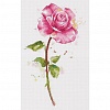 Набор для вышивания "PANNA"  C-7190   "Акварельная роза" 18.5  х 28.5  см