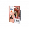 Картридж EPSON C13T08794010 для Stylus Photo R1900, Orange