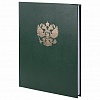 Книга учета BRAUBERG А4,  96л, обложка бумвинил, герб, офсет, клетка, зеленая