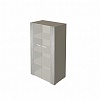 Шкаф New.Tone Nt-43, 880х460х1645мм, стеклянный фасад, дуб серебристый/мокко