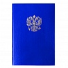 Книга учета BRAUBERG А4, 96л, обложка бумвинил, герб, фольга, офсет, клетка