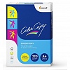 Плотная бумага для оргтехники COLOR COPY A4 220/250/CIE160/110%