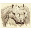Набор для вышивания "PANNA"  J-1066   "Пара белых лошадей" 43.5  х 36.5  см